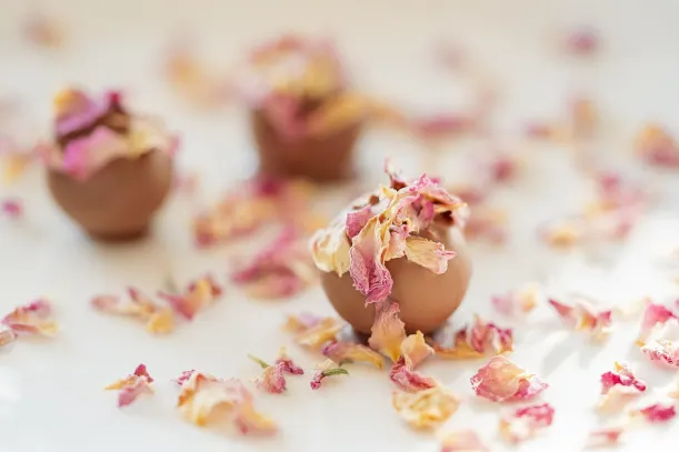 LottoKings Casino Android/iOS Forrit